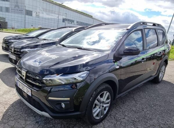 Paris: VIP Disneyland Paris Hotel Transfer - Orly Airport - Questions You May Have