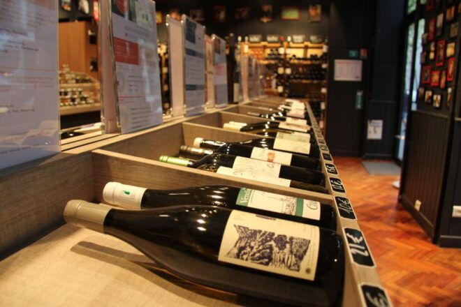 Paris: Wine and Cheese Tasting - Interact With Passionate Oenologists: Learn From the Experts