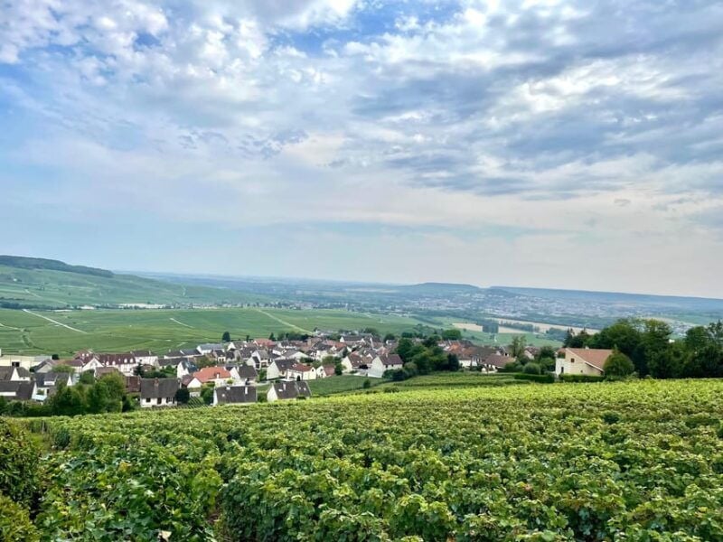 Paris Wine Day Tours All Inclusive Champagne Tour From Paris - Overview of the Champagne Day Trip