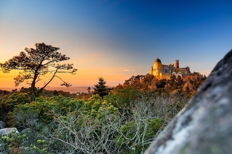 Park and National Palace of Pena Ticket - Inside the palace: rooms, furnishings, and a compact route