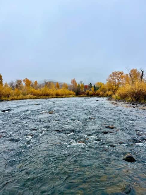 Park City: Guided Fly Fishing on Provo & Weber Rivers - Good To Know
