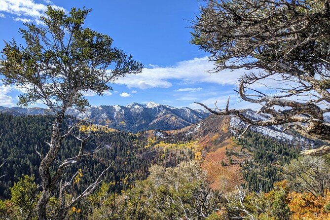 Park City Hiking Activity with Local Guide - Frequently Asked Questions