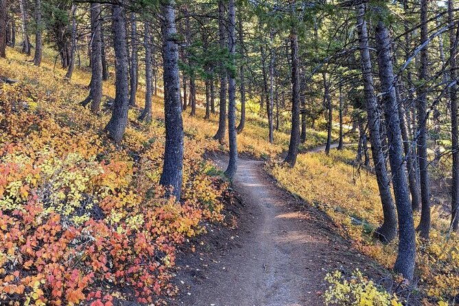 Park City Hiking Activity with Local Guide - Final Thoughts