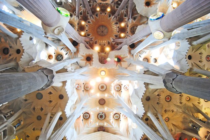 Park Güell and Sagrada Familia Private Tour - What to Expect