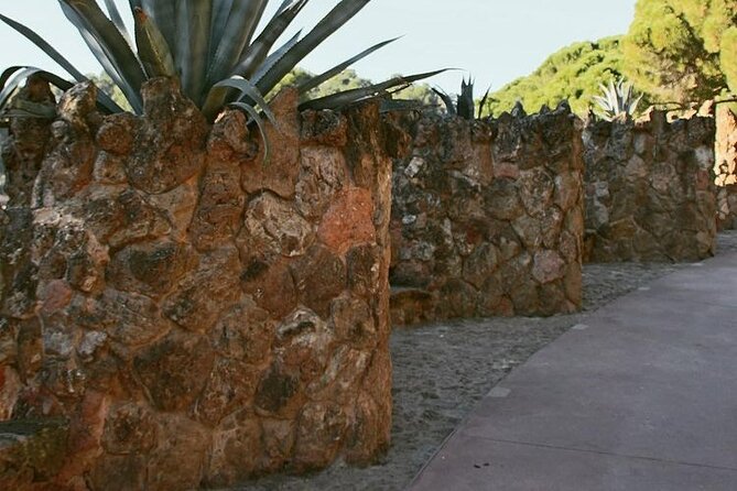 Park Guell Reserved Access Tour - Weather-related Cancellations