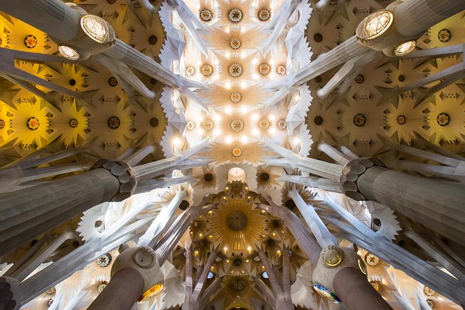Park Guell & Sagrada Familia Skip the Line Tour in Barcelona - The Sum Up