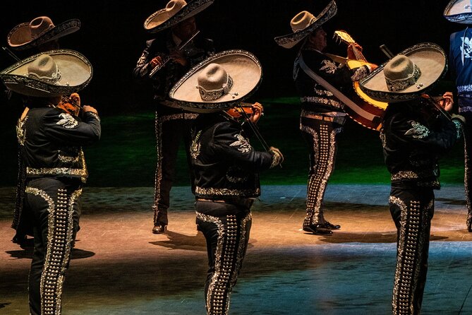 Park Xcaret Plus With Transportation From Cancun and Riviera Maya - Package Details