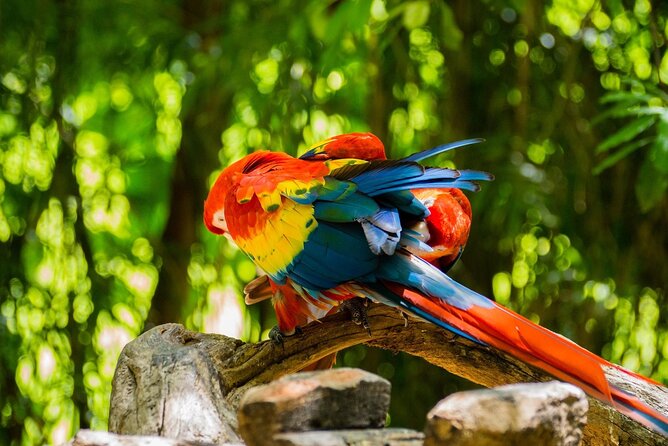 Park Xcaret Plus With Transportation From Cancun and Riviera Maya - Directions