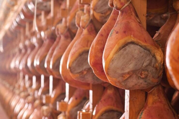 Parma: Cheese, Ham, & Balsamic Vinegar Tour With Tastings - Tour Highlights
