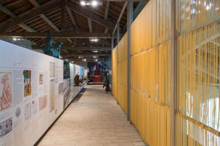 Parma: Museum of Pasta Entry Ticket - Experience Highlights