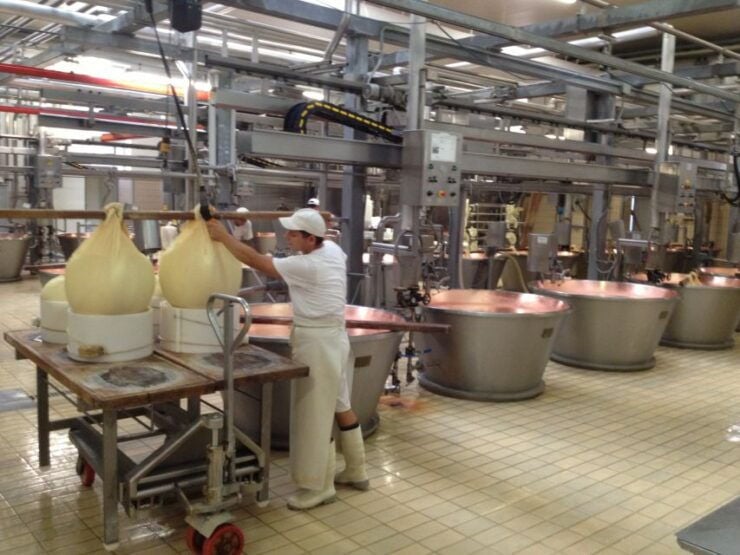 Parma: Parmigiano-Reggiano Cheese Tour - Experience Highlights