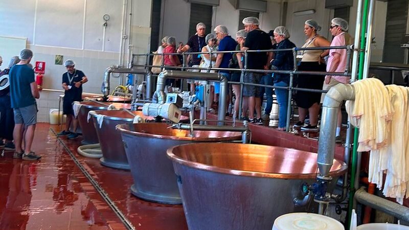 Parma Parmigiano-Reggiano Half-Day Big Group Tour - Brine, aging, and the tapping test