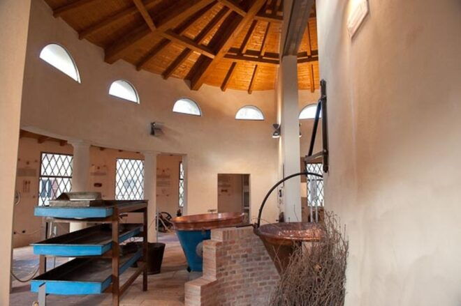 Parma: Parmigiano Reggiano Museum Ticket With Tasting Option - The Sum Up