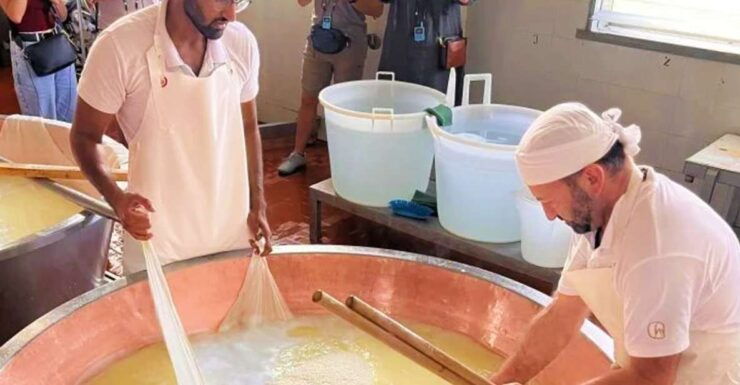 Parma: Traditional Cheese Factory Visit With Tasting - Activity Details and Booking Information