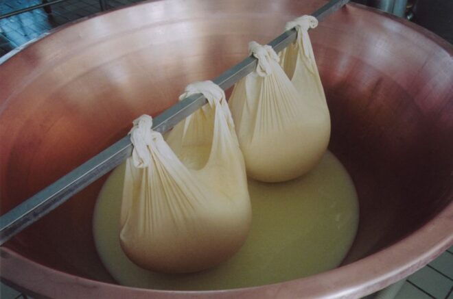 Parma: Traditional Cheese Factory Visit With Tasting - Directions
