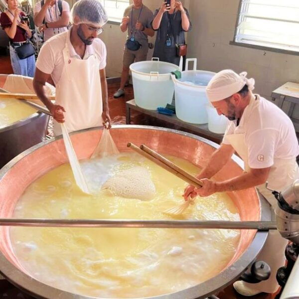 Parma: Traditional Cheese Factory Visit With Tasting - Common Questions