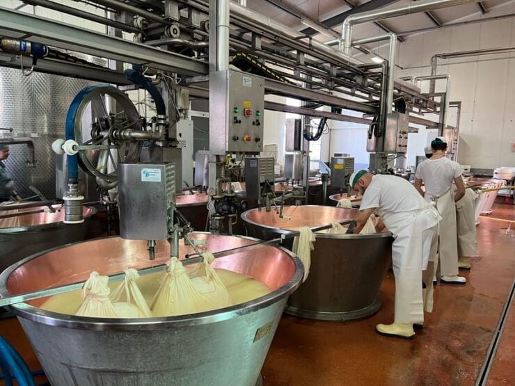 Parmesan, Balsamic Day Tour W/Cooking Class at Locals Home - Itinerary Highlights