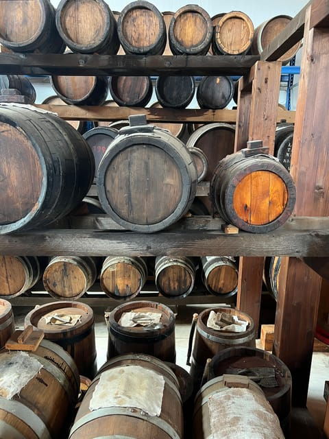 Parmesan, Balsamic Day Tour W/Cooking Class at Locals Home - Traditional Balsamic Vinegar Tour