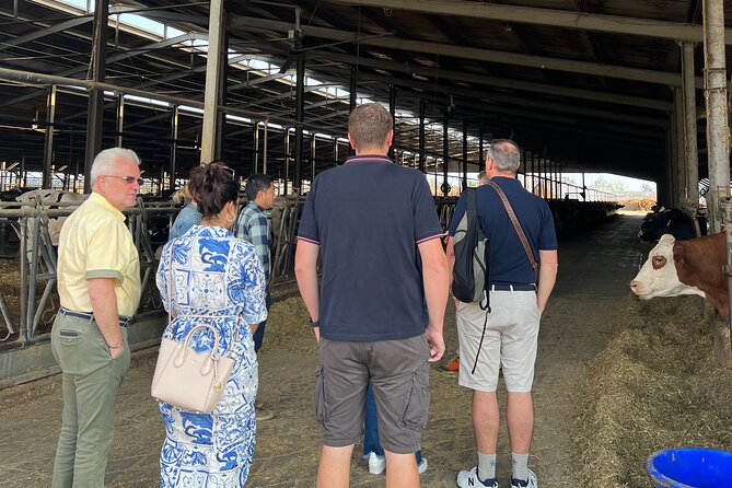 Parmesan Balsamic Day Tour With Cooking Class at Locals Home - Group Size Limit