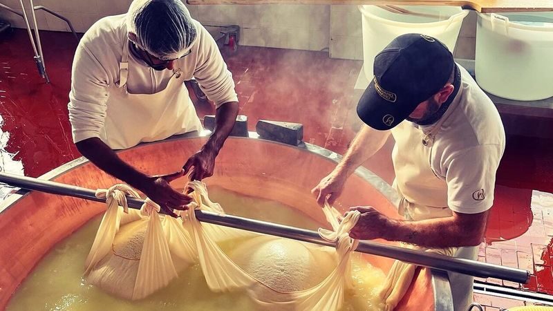 Parmesan cheese and ham factory tour in Parma - Watching a wheel of Parmigiano take shape