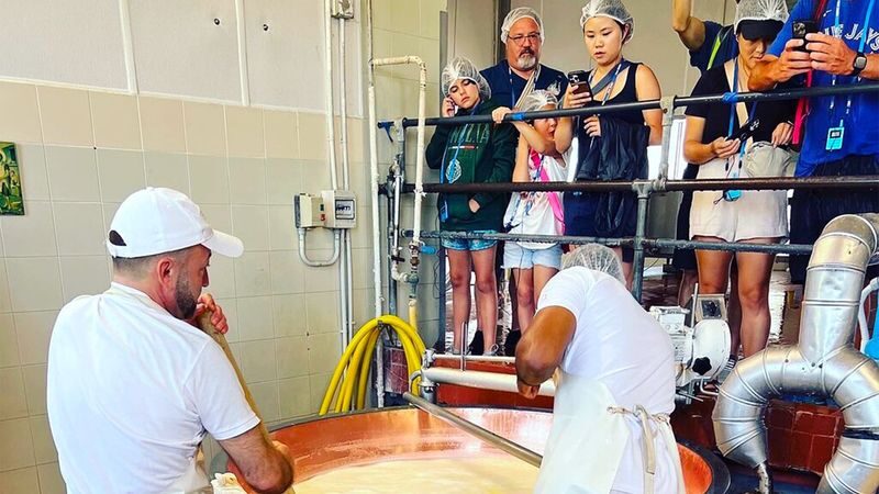 Parmesan cheese and ham factory tour in Parma - What the price buys you