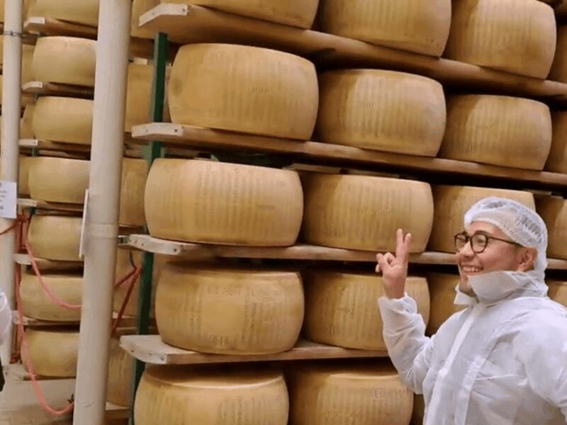 Parmesan Cheese Factory Tour & Tasting near Parma - Practical Details