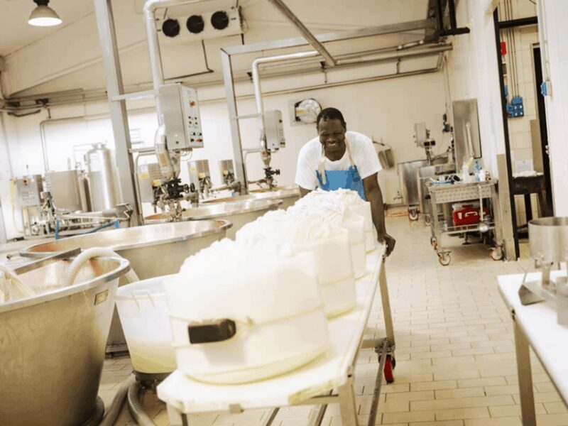 Parmesan Cheese Factory Tour & Tasting near Parma - Who Would Love This Tour?