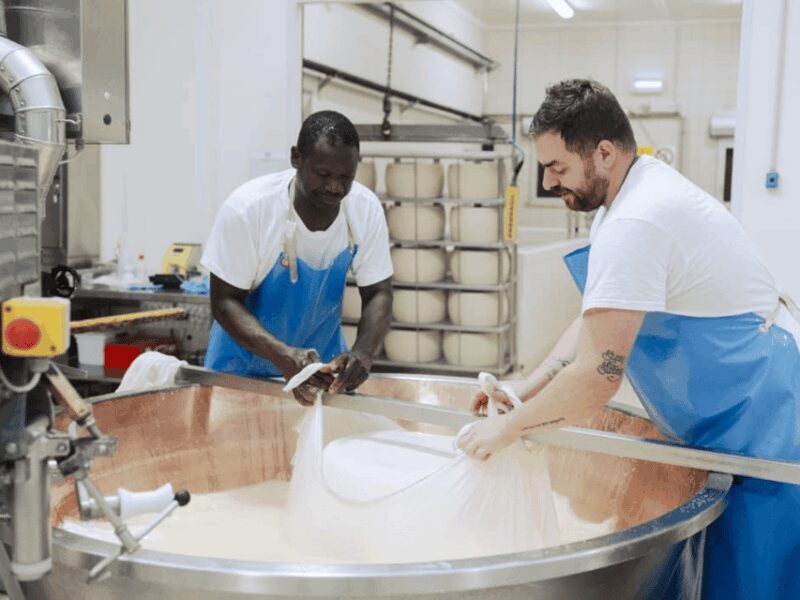 Parmesan Cheese Factory Tour & Tasting near Parma - FAQ