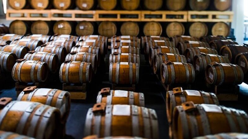 Parmesan cheese, Parma ham and balsamic vinegar factory tour - Is the price good value?