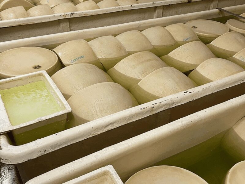 Parmesan Cheese Tour & Tasting close to Modena - Practical Details: How the Tour Works