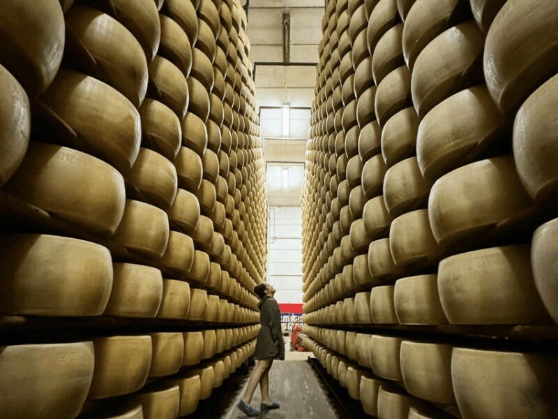 Parmesan Cheese Tour & Tasting close to Modena - Who Would Love This Tour?
