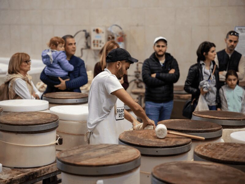 Parmesan Factory Tasting & Tour in Formigine, near Modena - Practical Aspects and Tips