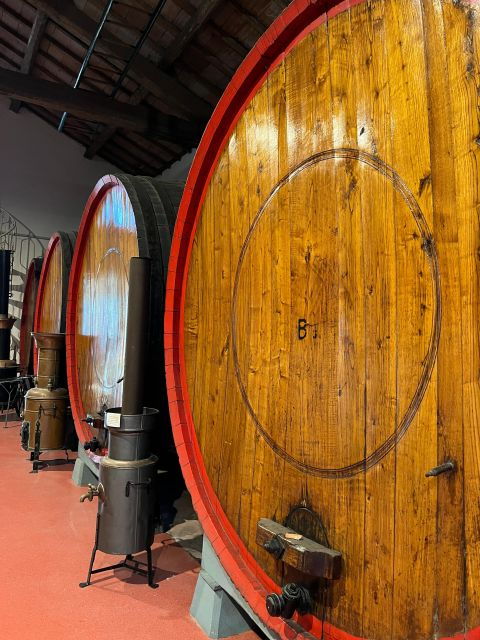 Parmesan, Wine, Balsamic Full Day Tour With Light Lunch - Good To Know