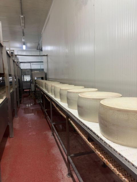 Parmesan, Wine, Balsamic Full Day Tour With Light Lunch - Tour Overview
