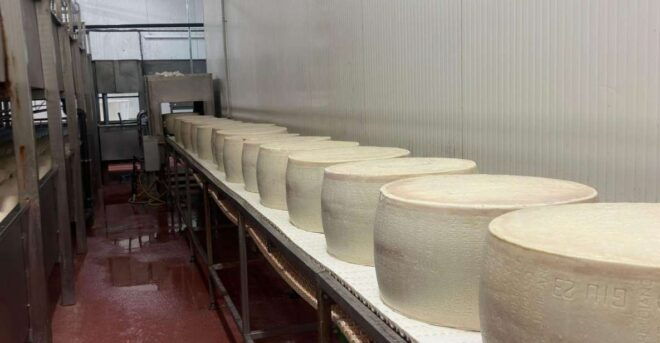 Parmesan, Wine, Balsamic Full Day Tour With Light Lunch - Language and Pickup