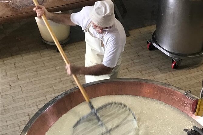 Parmigiano Cheese, Parma Ham and Balsamic Tour in Italy - Traveler Photos