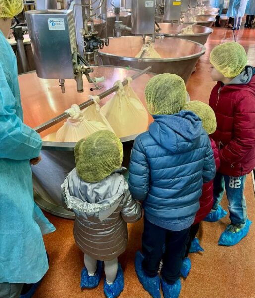 Parmigiano Reggiano Cheese and Balsamic Vinegar of Modena - Frequently Asked Questions