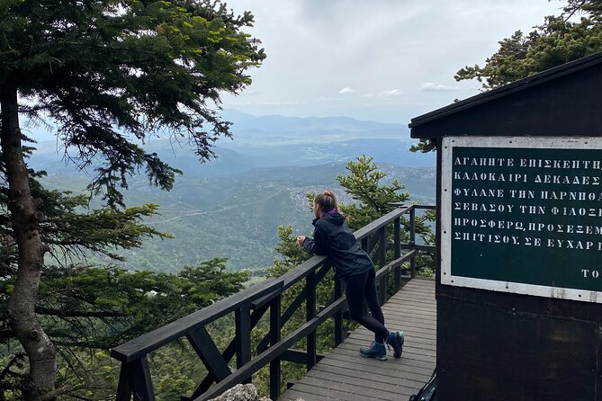 Parnitha Mountain Private Hiking Tour - Benefits of a Private Hiking Tour