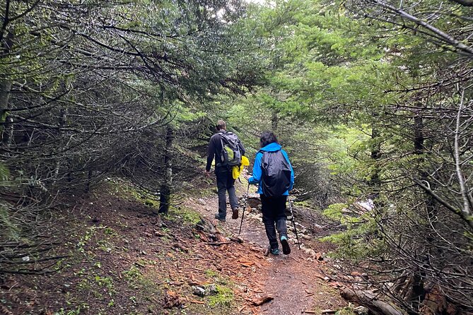 Parnitha Mountain Private Hiking Tour - Common Questions