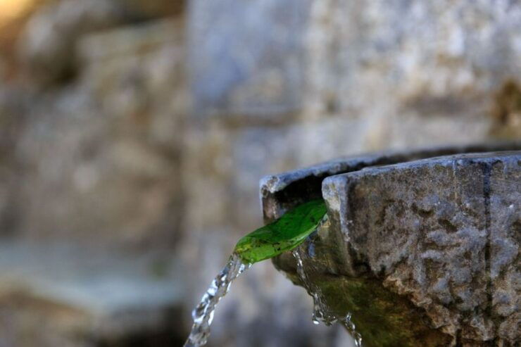 Parnitha (Parnis) / Skipiza & Mola Loop - Hike Near Athens - Activity Details