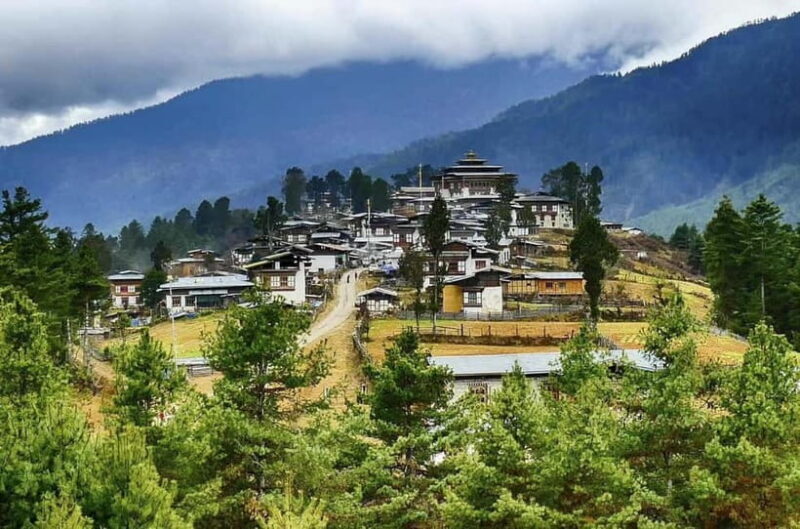 Paro: Culture and Nature 4-Day Guided Tour - Exploring Bhutan’s Highlights Over 4 Days