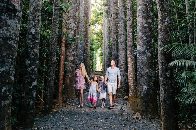Paronella Park and Millaa Millaa Falls Full-Day Tour From Cairns - Visitor Reviews and Ratings