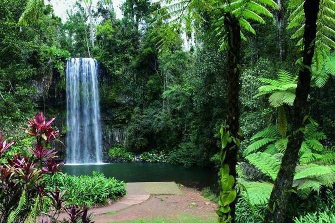 Paronella Park and Millaa Millaa Falls Full-Day Tour From Cairns - Important Information and Booking Details
