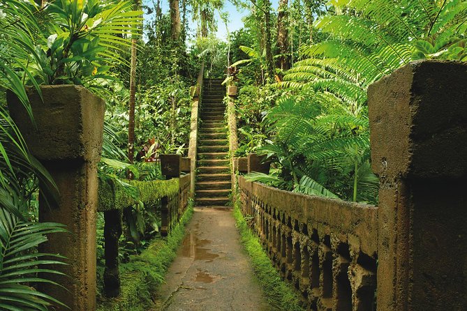 Paronella Park and Millaa Millaa Falls Full-Day Tour From Cairns - How to Get There and Transportation Options