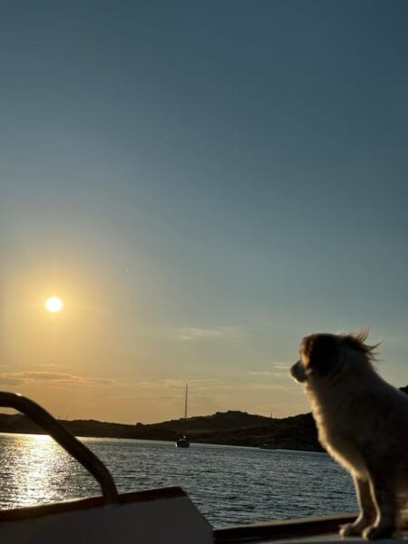 Paros: Highlights Tour With Fishing & Tasting in Naoussa - Frequently Asked Questions