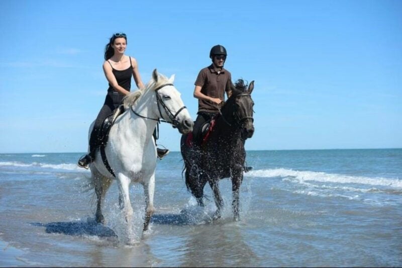 Paros: Morning Island Horseback Riding Adventure - Good To Know