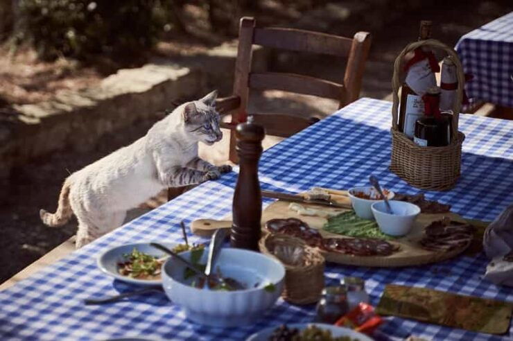 Paros: Rosemary - Farm to Table Dining Experience - Meal Components Breakdown