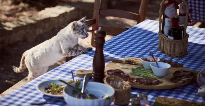 Paros: Rosemary - Farm to Table Dining Experience - Location and Meeting Point