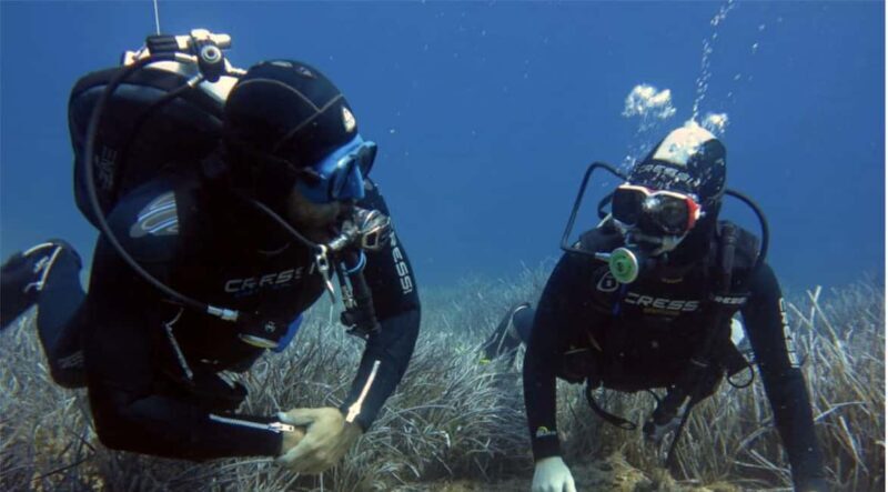 Paros: Scuba Diving Experience - Good To Know
