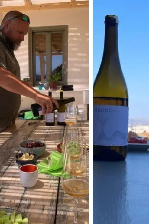 Paros : Wine Tasting - Natural Wine - Unique Features of the Winery